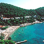 Plage Uvala Lapad