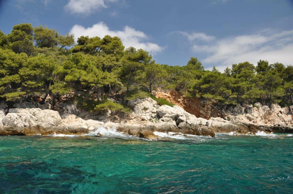 Lokrum littoral